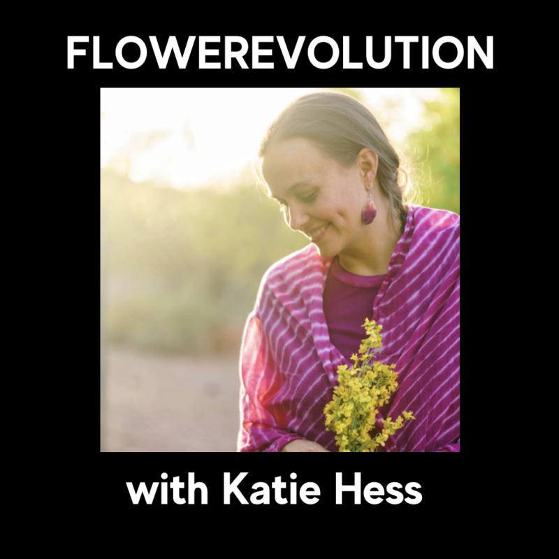 Katie Hess - FlowerEvolution