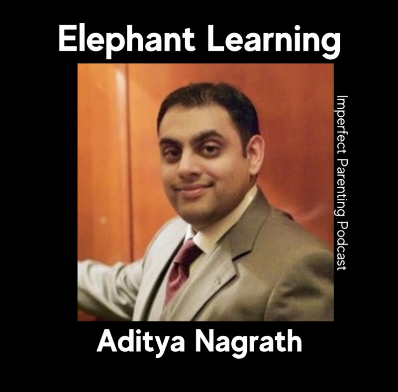 Elephant Learning -Aditya Nagrath